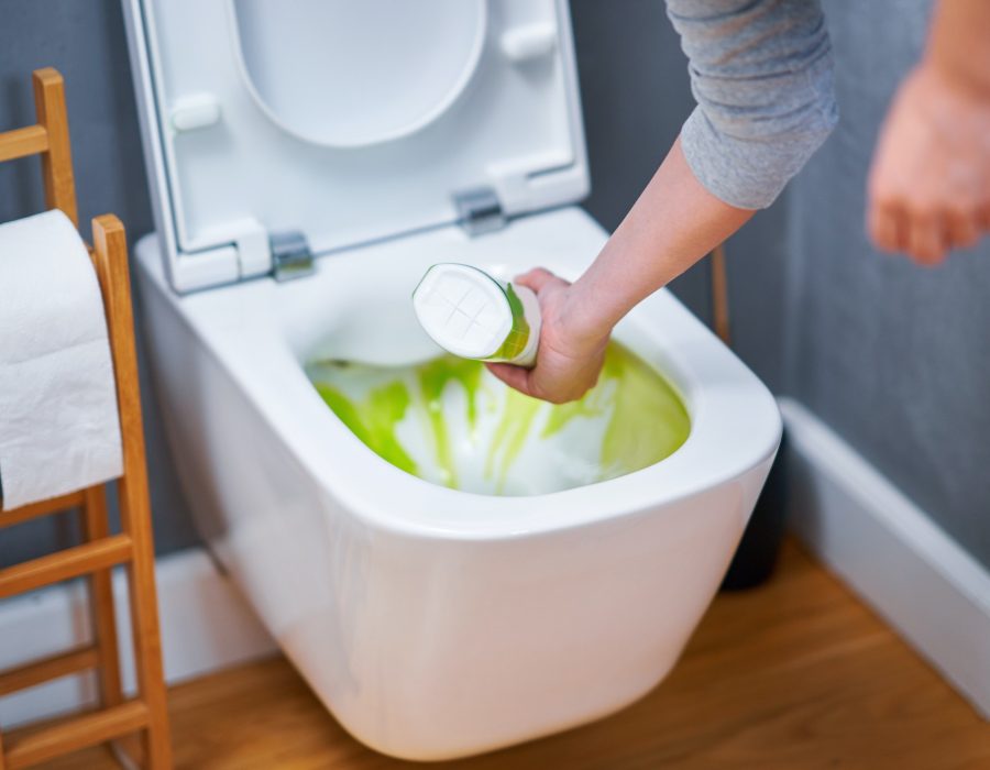 picture-of-cleaning-toilet-seat-with-chemicals.jpg